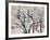 Spring Hiatus-Jodi Maas-Framed Giclee Print