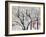 Spring Hiatus-Jodi Maas-Framed Giclee Print