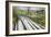 Spring Hill Farm-Bruce Dumas-Framed Giclee Print