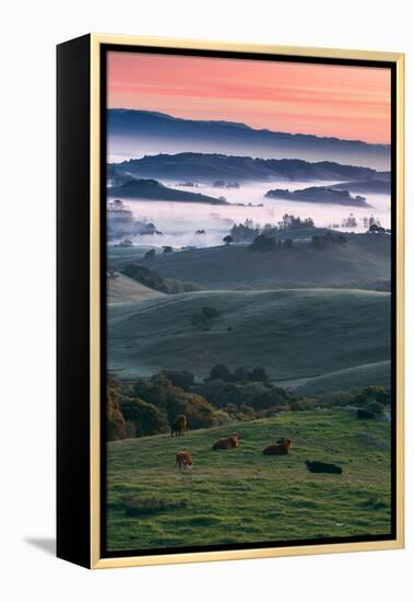 Spring Hills With Fog Petaluma Sonoma California-Vincent James-Framed Premier Image Canvas