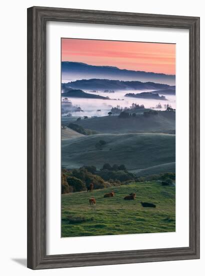 Spring Hills With Fog Petaluma Sonoma California-Vincent James-Framed Photographic Print