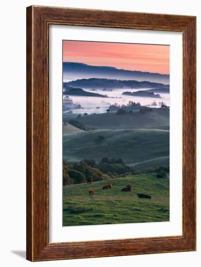 Spring Hills With Fog Petaluma Sonoma California-Vincent James-Framed Photographic Print