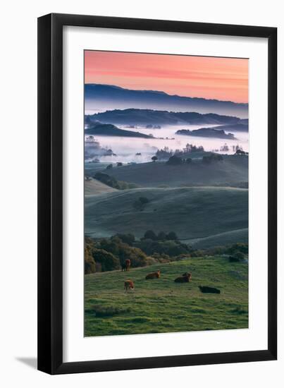 Spring Hills With Fog Petaluma Sonoma California-Vincent James-Framed Photographic Print