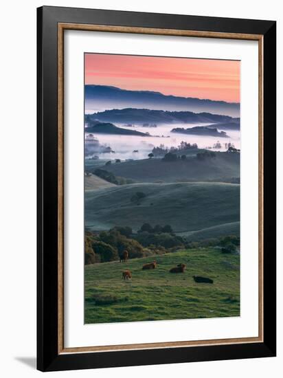 Spring Hills With Fog Petaluma Sonoma California-Vincent James-Framed Photographic Print