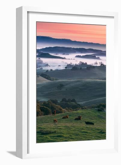 Spring Hills With Fog Petaluma Sonoma California-Vincent James-Framed Photographic Print