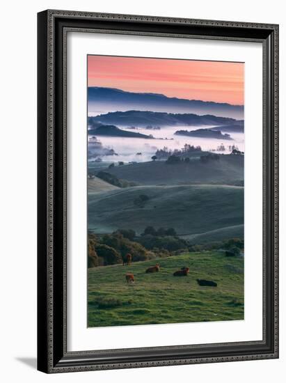 Spring Hills With Fog Petaluma Sonoma California-Vincent James-Framed Photographic Print