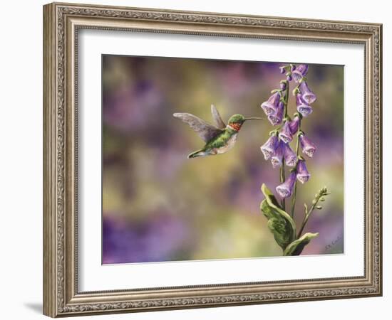 Spring Hummingbird-Sarah Davis-Framed Giclee Print