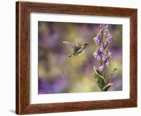 Spring Hummingbird-Sarah Davis-Framed Giclee Print