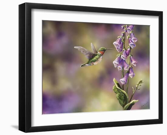 Spring Hummingbird-Sarah Davis-Framed Giclee Print