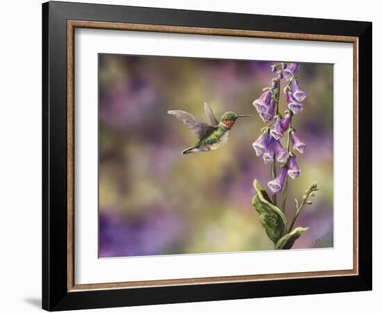 Spring Hummingbird-Sarah Davis-Framed Giclee Print