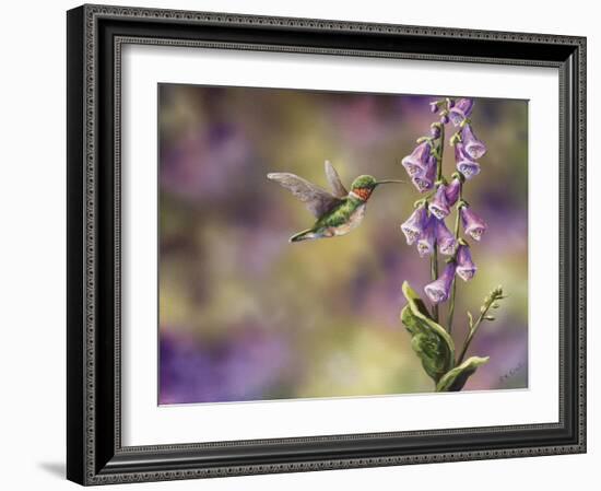 Spring Hummingbird-Sarah Davis-Framed Giclee Print