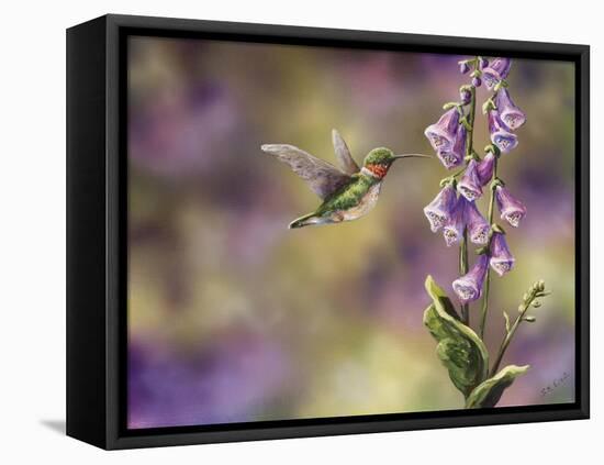 Spring Hummingbird-Sarah Davis-Framed Premier Image Canvas