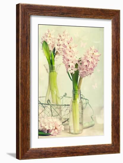 Spring Hyacinth Flowers in Vintage Glass Bottles-Amd Images-Framed Photographic Print