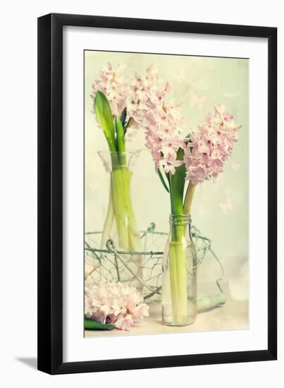 Spring Hyacinth Flowers in Vintage Glass Bottles-Amd Images-Framed Photographic Print