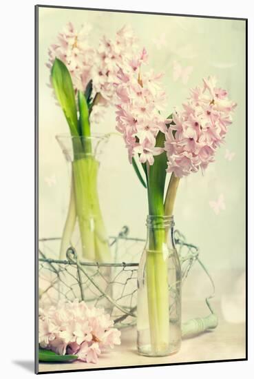 Spring Hyacinth Flowers in Vintage Glass Bottles-Amd Images-Mounted Photographic Print