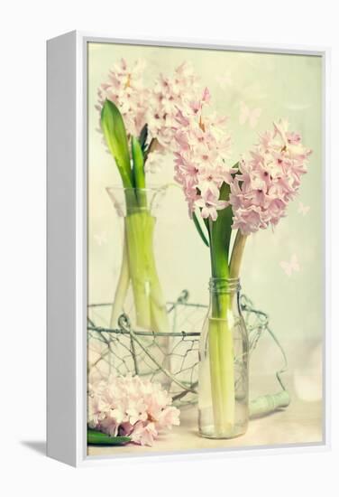 Spring Hyacinth Flowers in Vintage Glass Bottles-Amd Images-Framed Premier Image Canvas