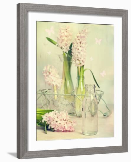 Spring Hyacinths with Focus-Amd Images-Framed Photographic Print
