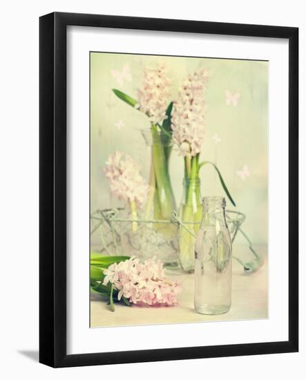 Spring Hyacinths with Focus-Amd Images-Framed Photographic Print