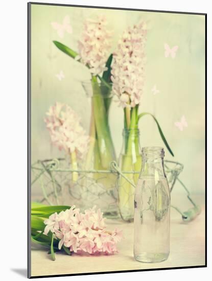Spring Hyacinths with Focus-Amd Images-Mounted Photographic Print