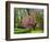 Spring in Central Park-Marco Carmassi-Framed Photographic Print