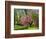 Spring in Central Park-Marco Carmassi-Framed Photographic Print