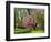 Spring in Central Park-Marco Carmassi-Framed Photographic Print