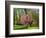 Spring in Central Park-Marco Carmassi-Framed Photographic Print