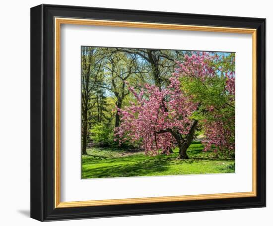 Spring in Central Park-Marco Carmassi-Framed Photographic Print