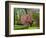 Spring in Central Park-Marco Carmassi-Framed Photographic Print