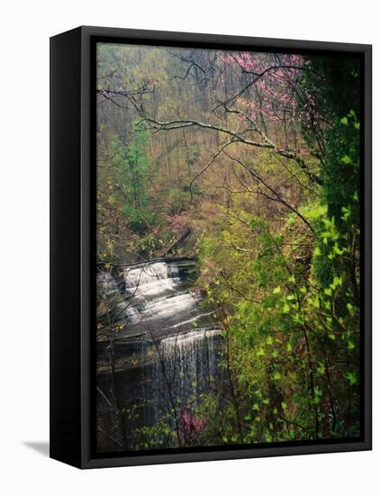 Spring in Clifty Creek State Park, Indiana, USA-Anna Miller-Framed Premier Image Canvas