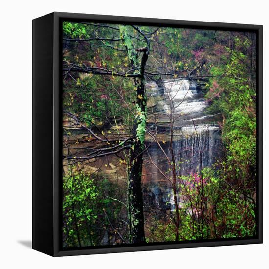 Spring in Clifty Creek State Park, Indiana, USA-Anna Miller-Framed Premier Image Canvas