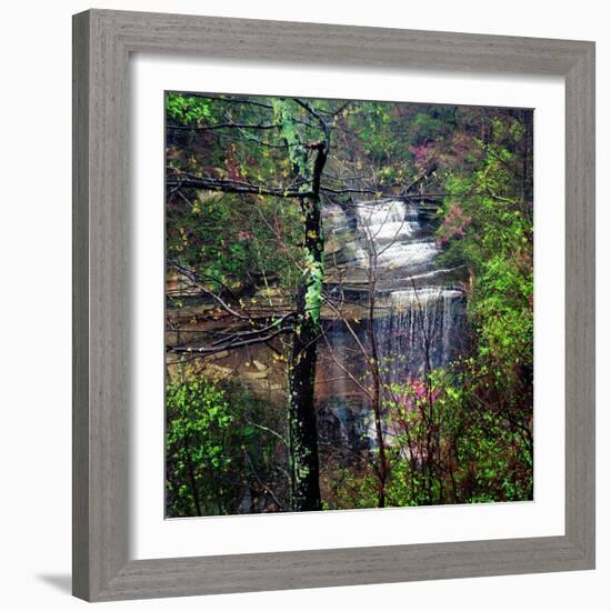 Spring in Clifty Creek State Park, Indiana, USA-Anna Miller-Framed Photographic Print