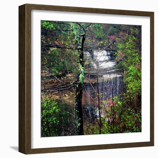 Spring in Clifty Creek State Park, Indiana, USA-Anna Miller-Framed Photographic Print