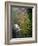 Spring in Clifty Creek State Park, Indiana, USA-Anna Miller-Framed Photographic Print