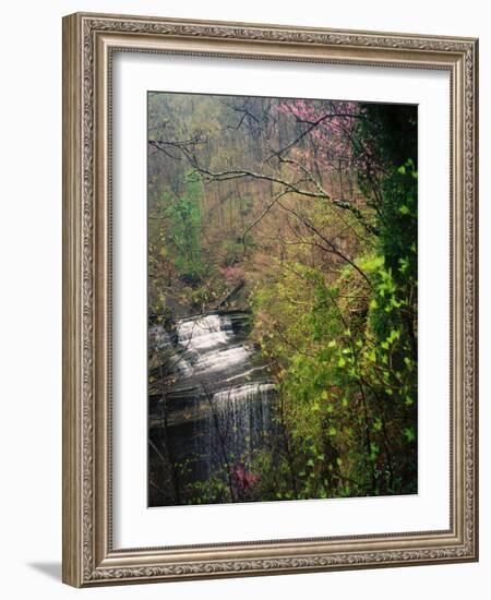 Spring in Clifty Creek State Park, Indiana, USA-Anna Miller-Framed Photographic Print