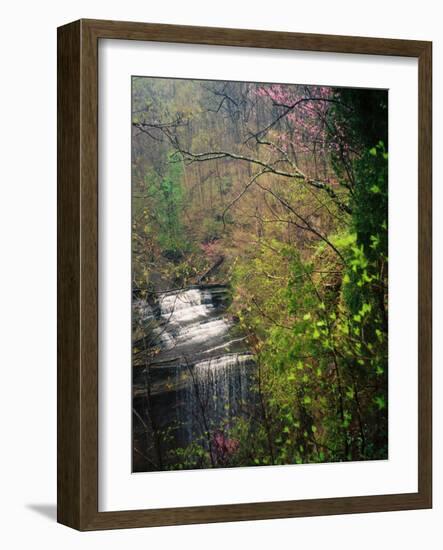 Spring in Clifty Creek State Park, Indiana, USA-Anna Miller-Framed Photographic Print