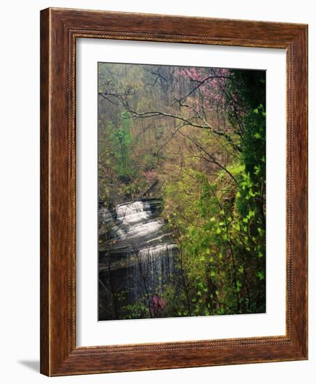 Spring in Clifty Creek State Park, Indiana, USA-Anna Miller-Framed Photographic Print