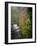 Spring in Clifty Creek State Park, Indiana, USA-Anna Miller-Framed Photographic Print