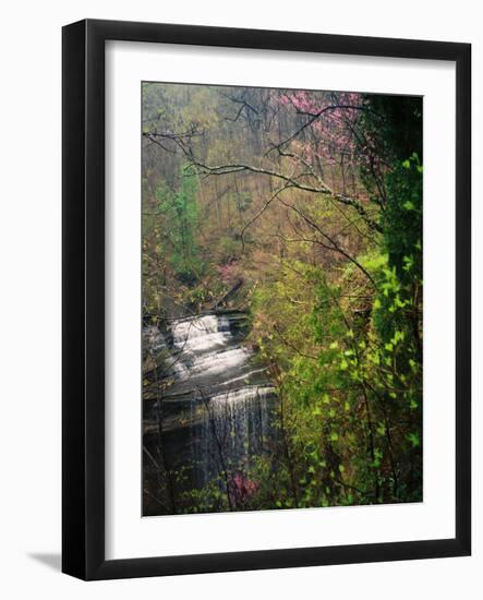 Spring in Clifty Creek State Park, Indiana, USA-Anna Miller-Framed Photographic Print