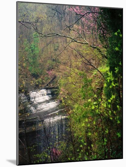 Spring in Clifty Creek State Park, Indiana, USA-Anna Miller-Mounted Photographic Print