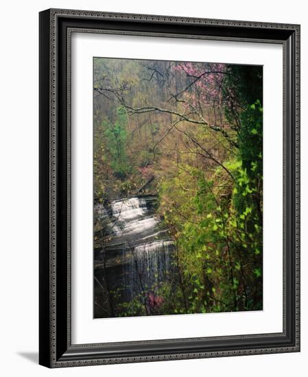 Spring in Clifty Creek State Park, Indiana, USA-Anna Miller-Framed Photographic Print