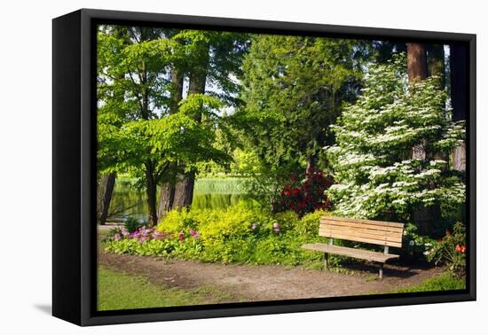 Spring in Crystal Springs Rhododendron Garden, Portland, Oregon, USA-Craig Tuttle-Framed Premier Image Canvas