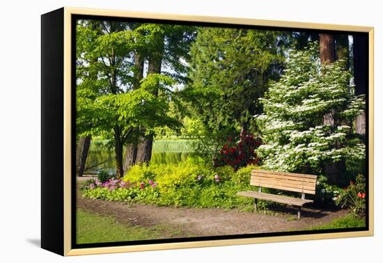 Spring in Crystal Springs Rhododendron Garden, Portland, Oregon, USA-Craig Tuttle-Framed Premier Image Canvas