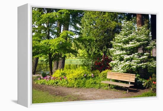 Spring in Crystal Springs Rhododendron Garden, Portland, Oregon, USA-Craig Tuttle-Framed Premier Image Canvas