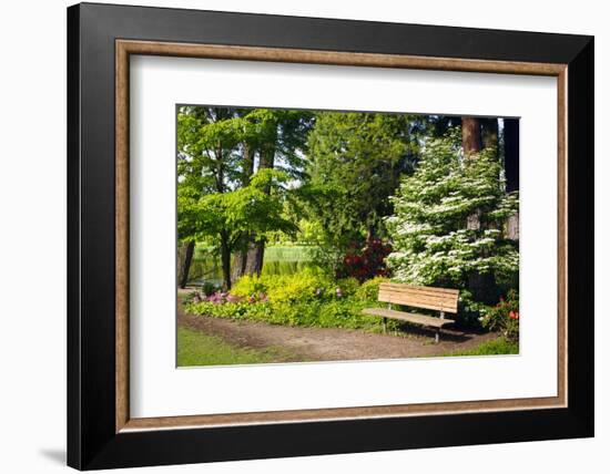 Spring in Crystal Springs Rhododendron Garden, Portland, Oregon, USA-Craig Tuttle-Framed Photographic Print