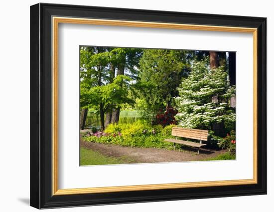 Spring in Crystal Springs Rhododendron Garden, Portland, Oregon, USA-Craig Tuttle-Framed Photographic Print