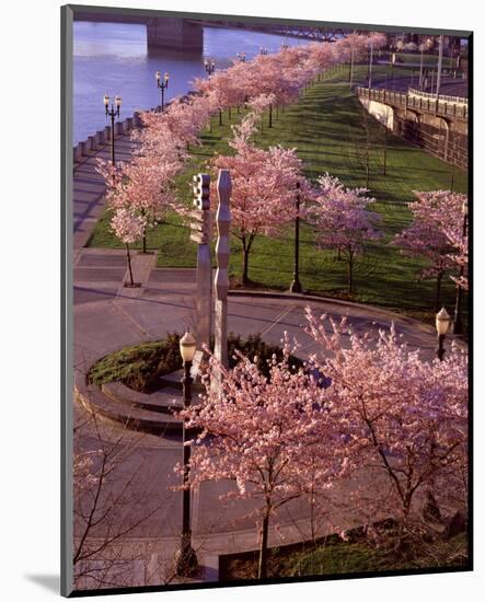 Spring in Portland-Ike Leahy-Mounted Photo