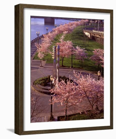 Spring in Portland-Ike Leahy-Framed Photo