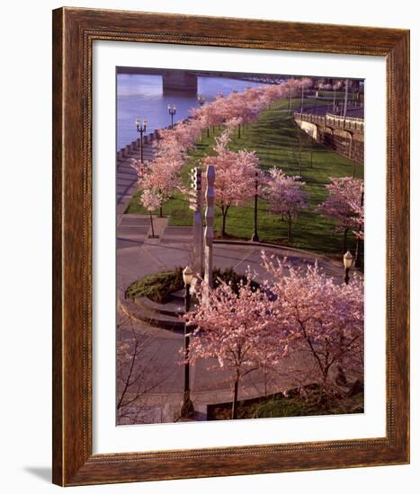 Spring in Portland-Ike Leahy-Framed Photo