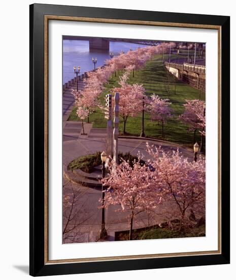 Spring in Portland-Ike Leahy-Framed Photo